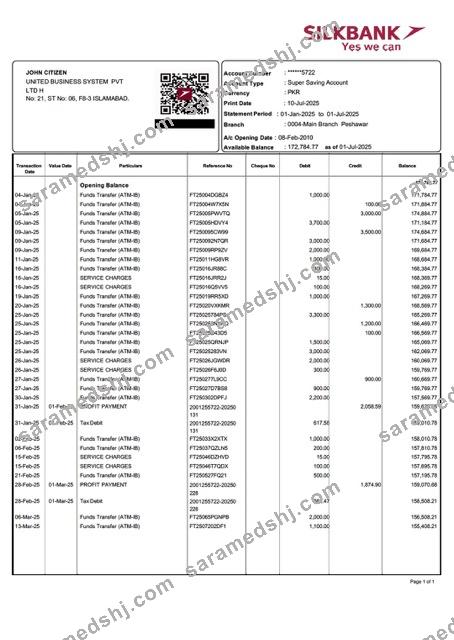 Pakistan Silkbank account statement Word and PDF template